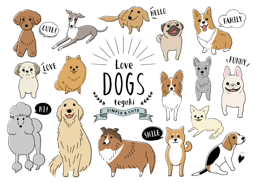 わんこ組｜忠実で元気いっぱい！犬好きアイドルたち